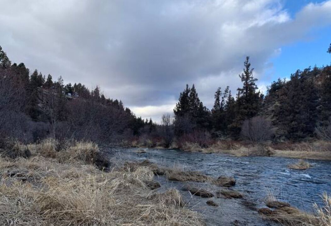 Photo of Outdoor in Redmond