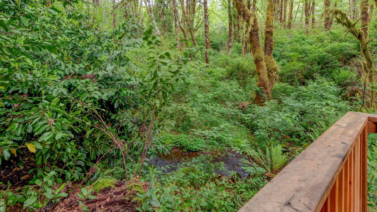 Photo of Outdoor in Triangle Lake