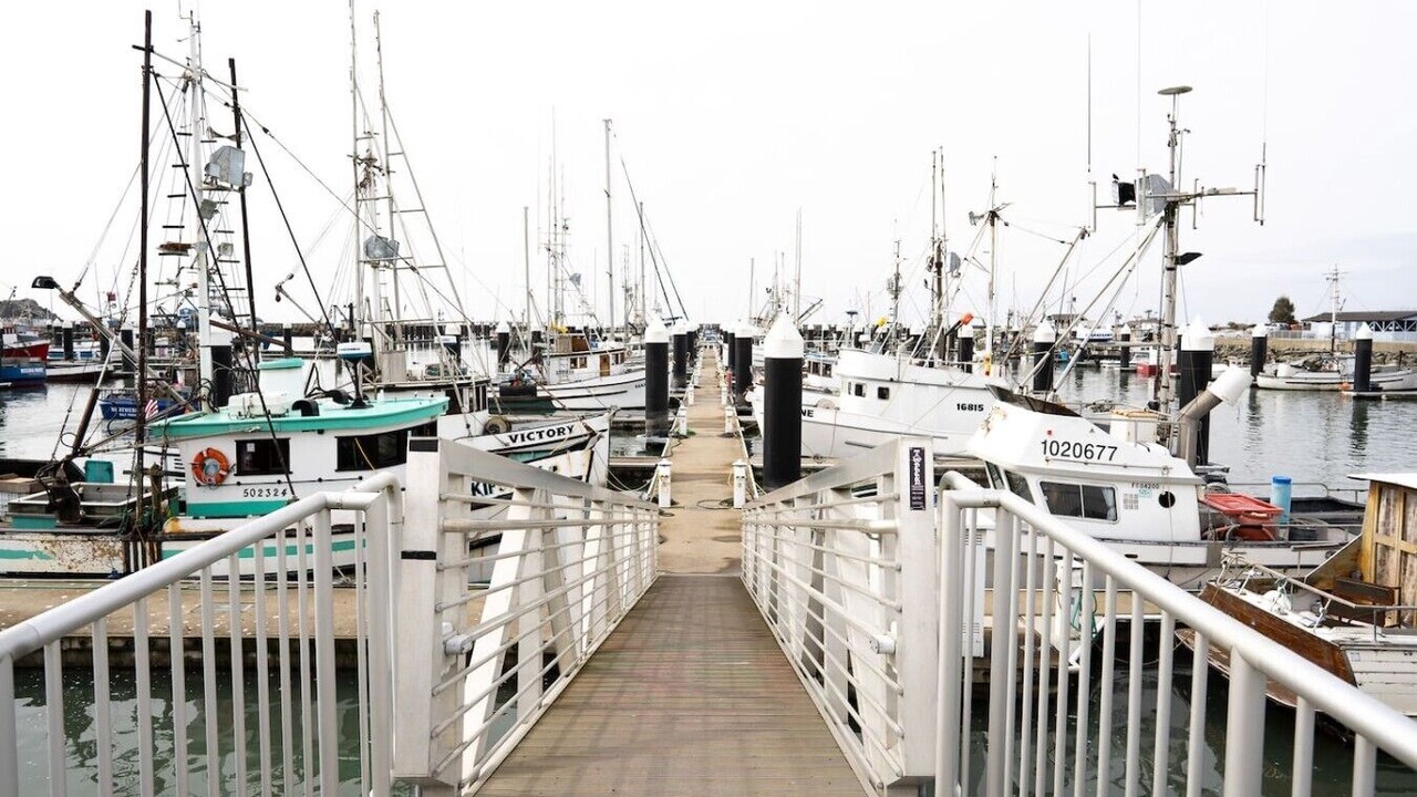Photo of Others in Crescent City
