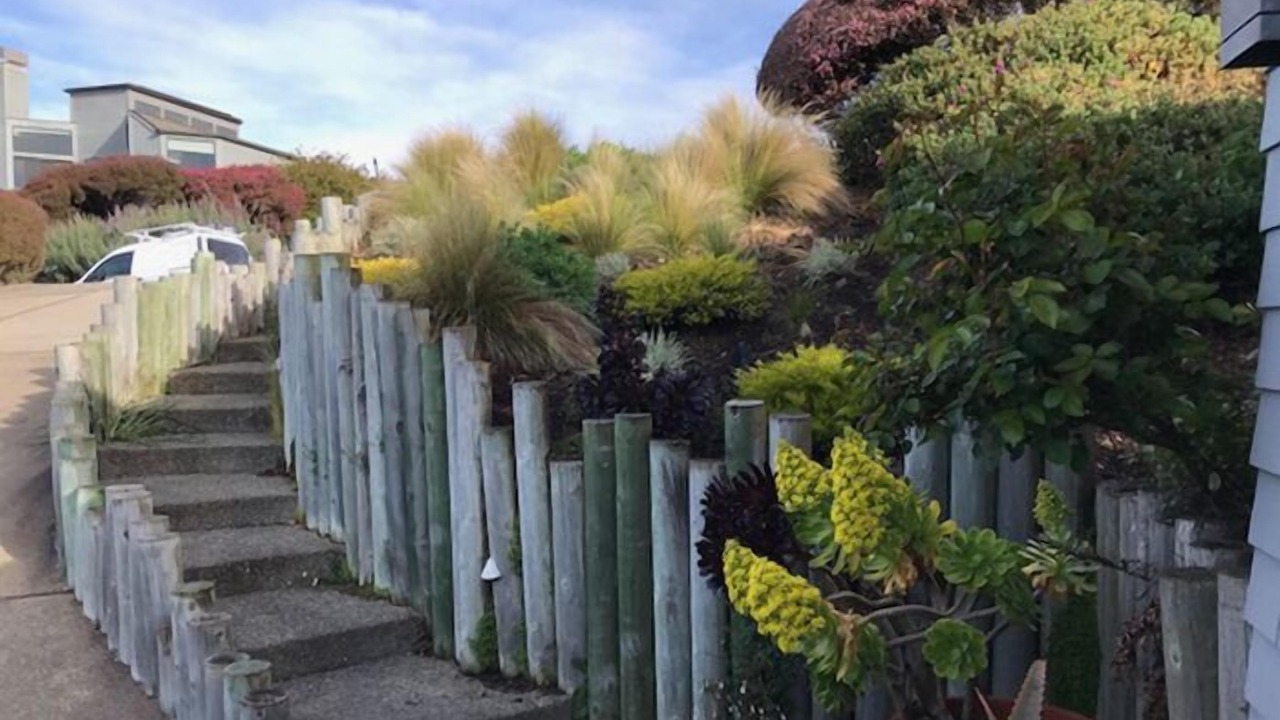 Photo of Outdoor in Bodega Bay