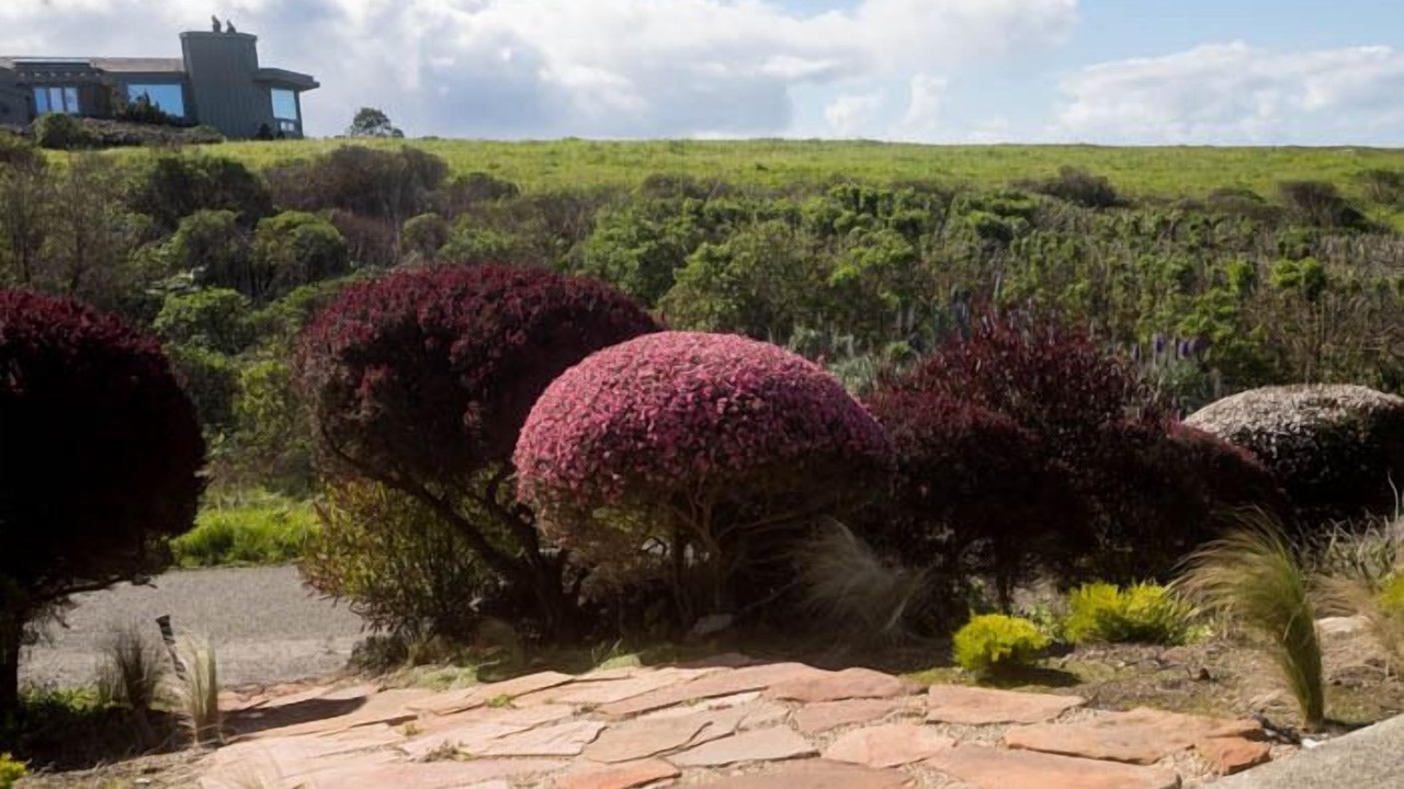 Photo of Outdoor in Bodega Bay