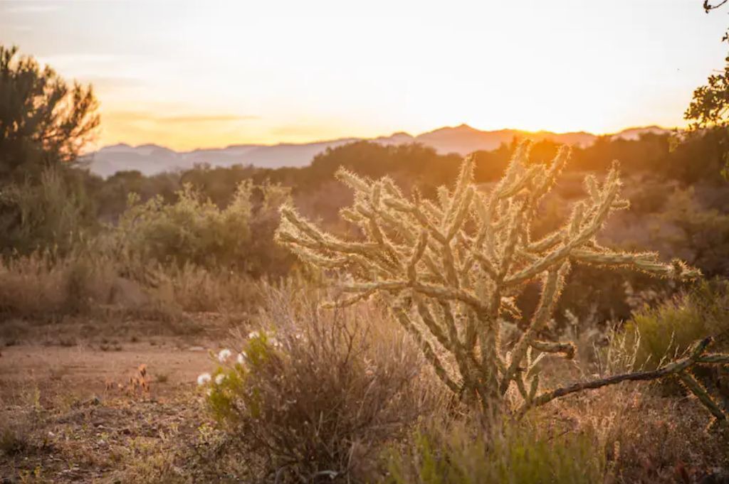 Photo of Outdoor in Kingman