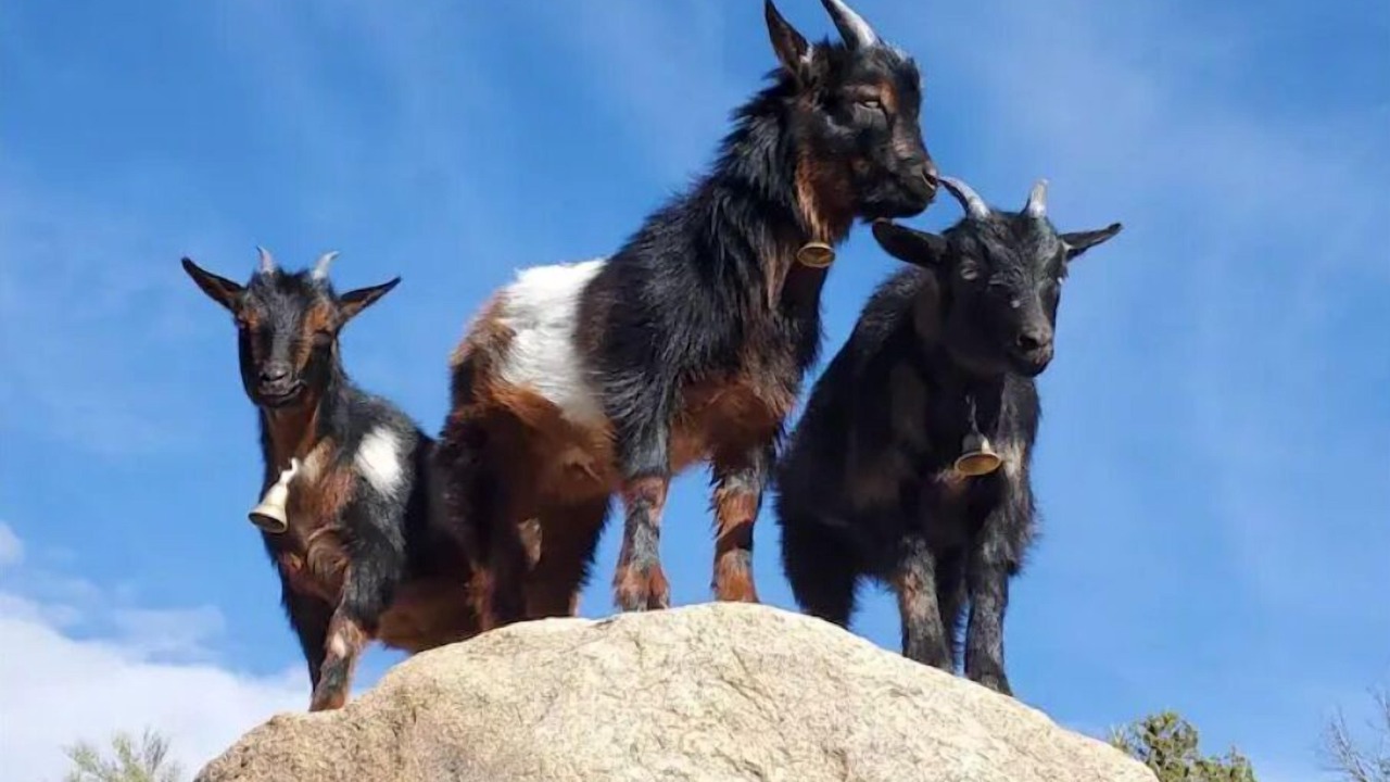 Photo of Outdoor in Kingman