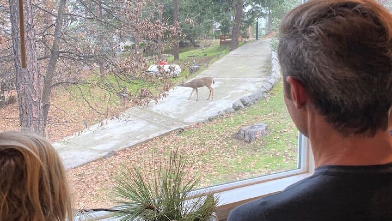 Photo of Others in Groveland