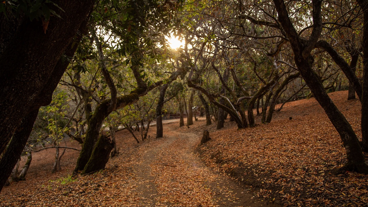 Photo of Others in Carmel Valley