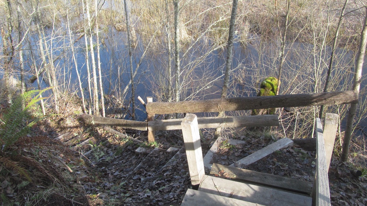 Photo of Outdoor in Toutle