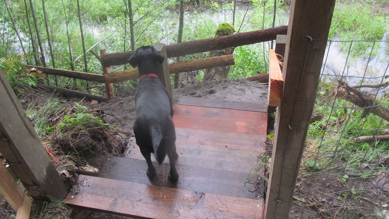Photo of Outdoor in Toutle