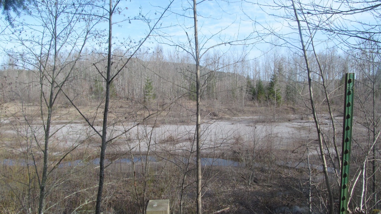 Photo of Outdoor in Toutle