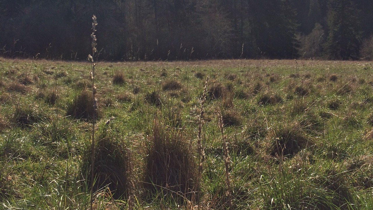 Photo of Others in Clatskanie