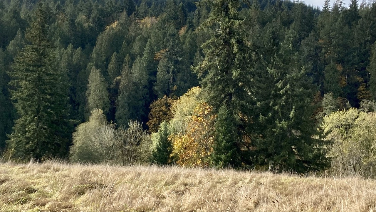 Photo of Others in Clatskanie