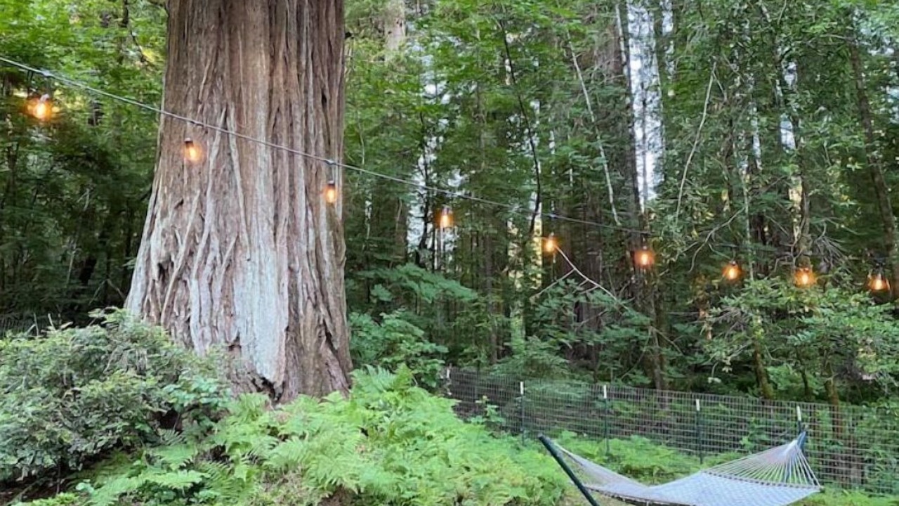 Photo of Outdoor in Redway