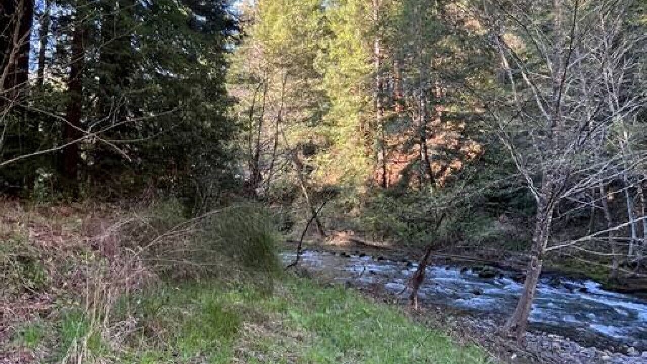 Photo of Outdoor in Redway