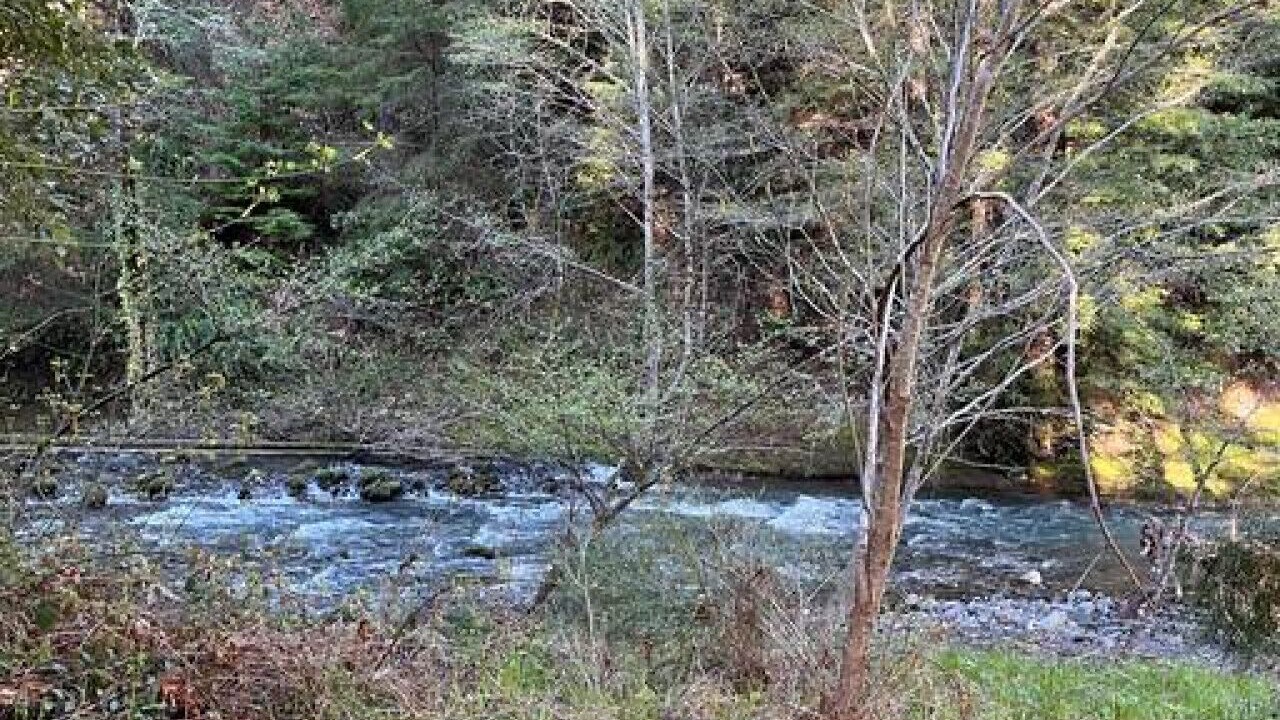 Photo of Outdoor in Redway
