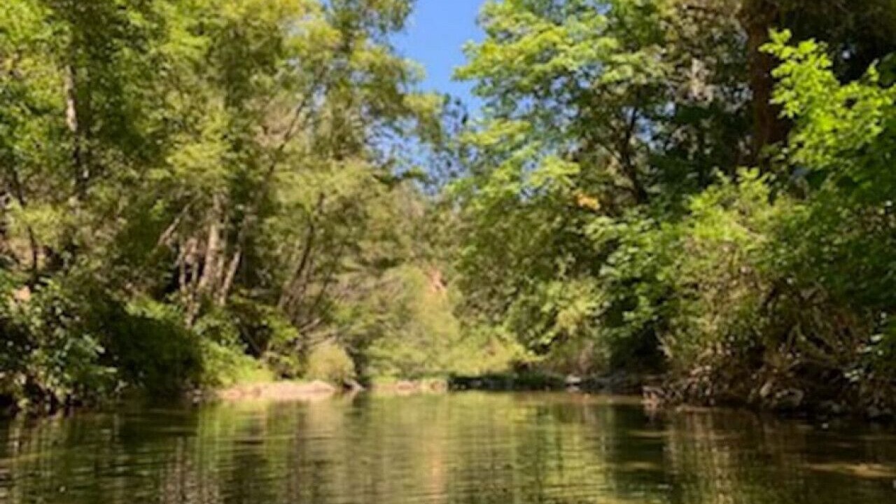 Photo of Outdoor in Redway