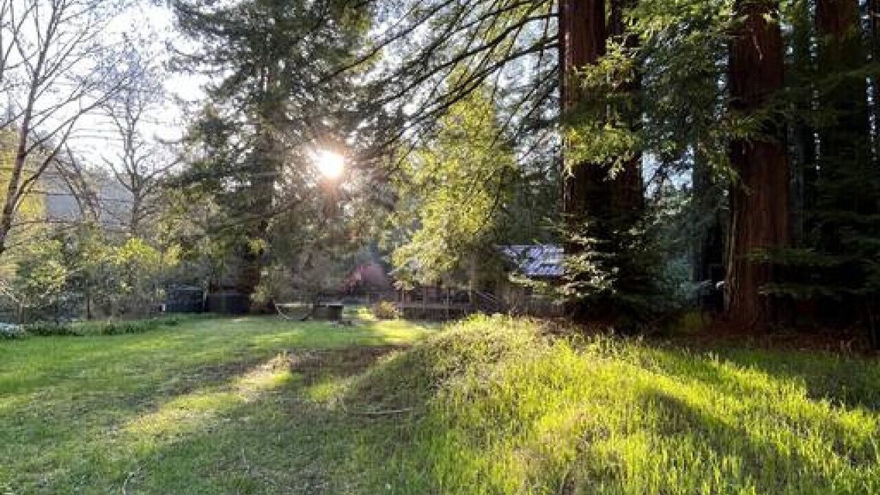 Photo of Outdoor in Redway