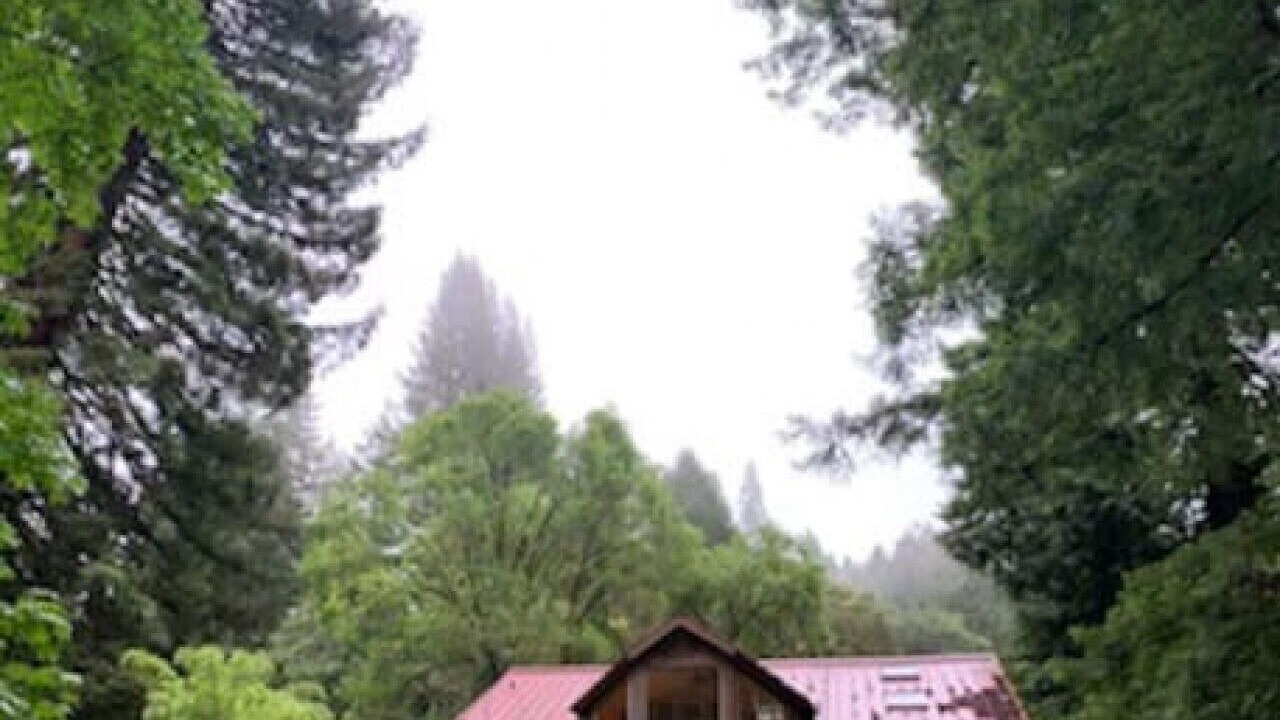 Photo of Outdoor in Redway