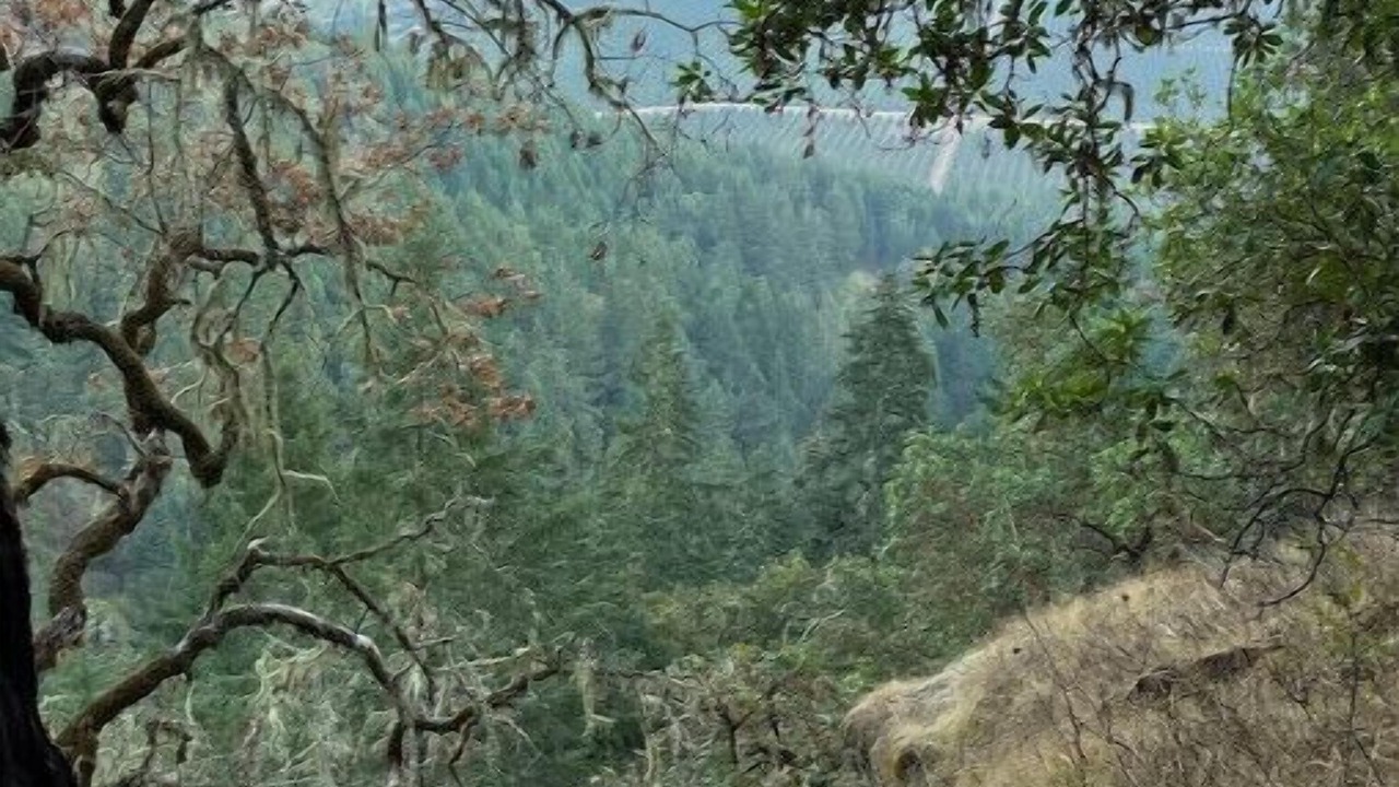 Photo of Others in Umpqua