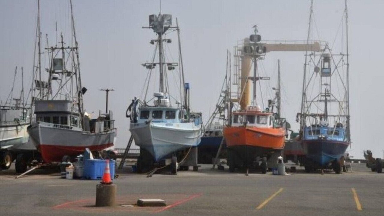 Photo of Others in Port Orford