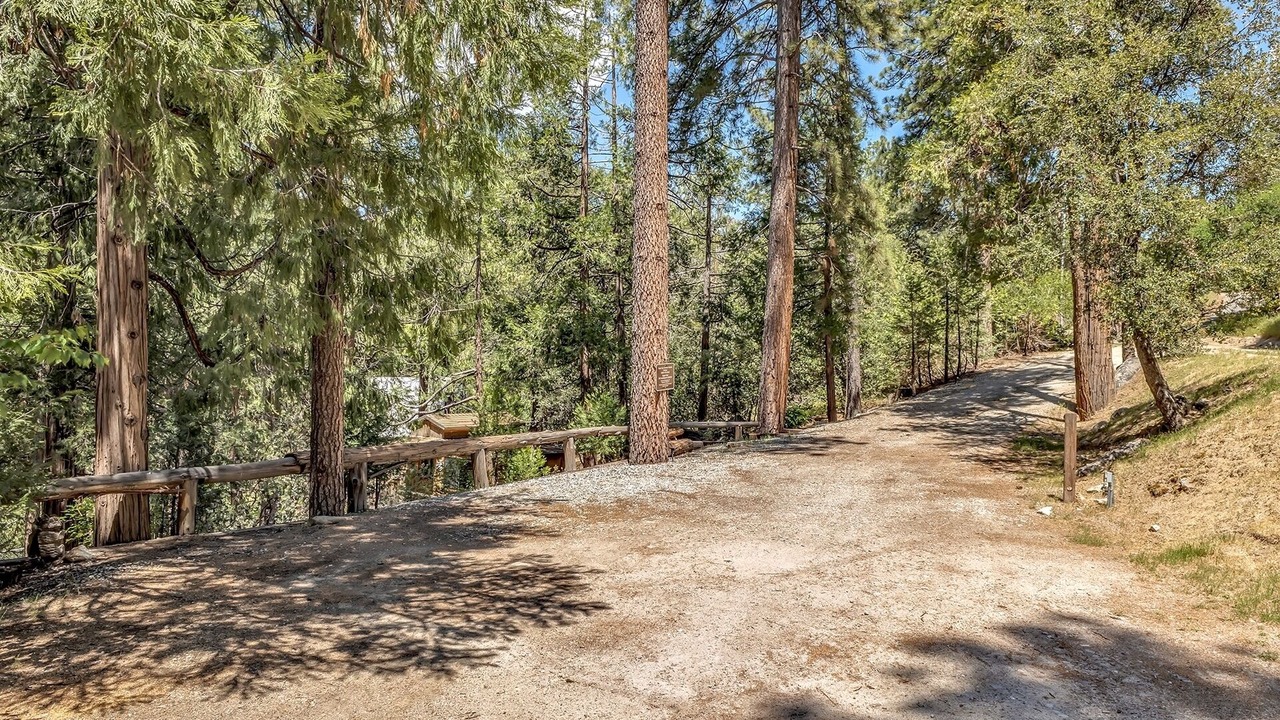 Photo of Others in Idyllwild