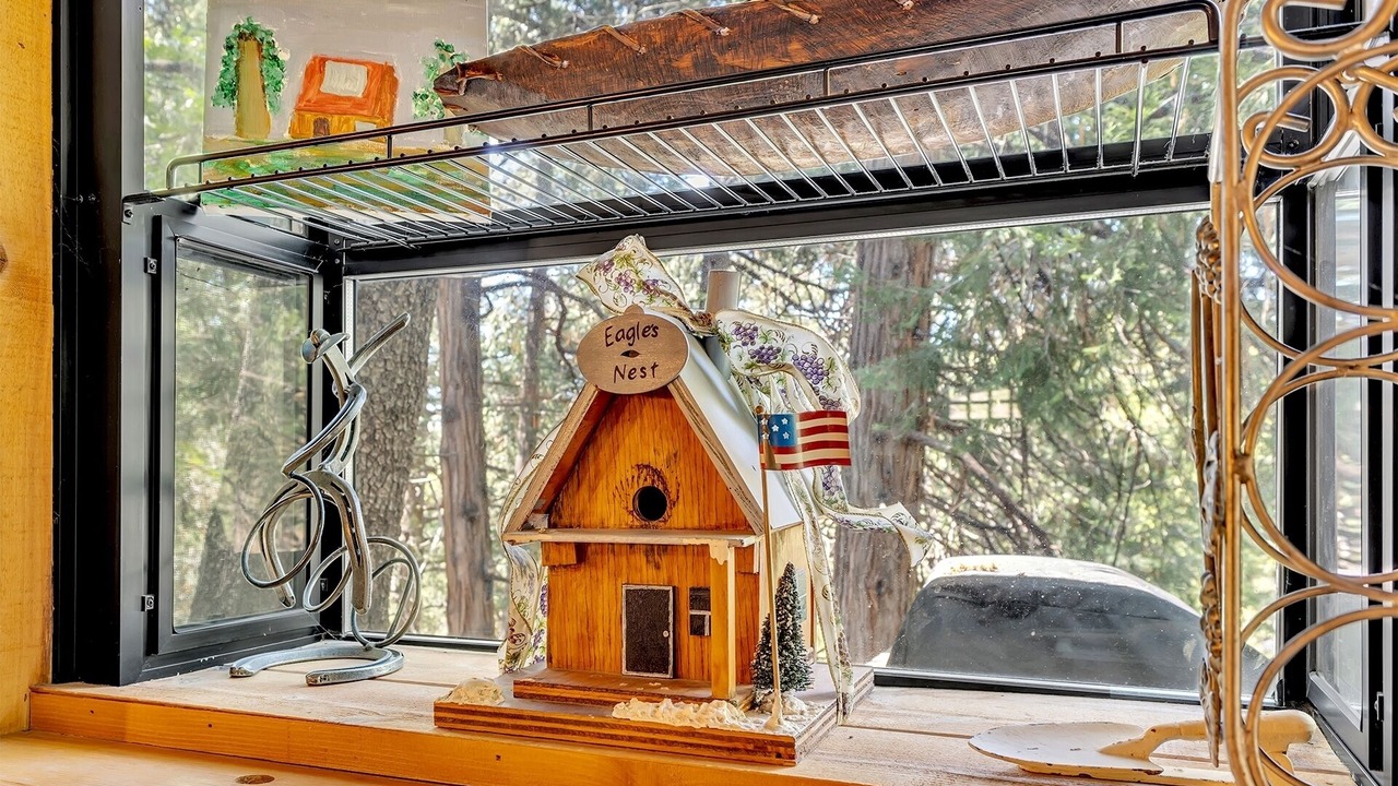 Photo of Others in Idyllwild