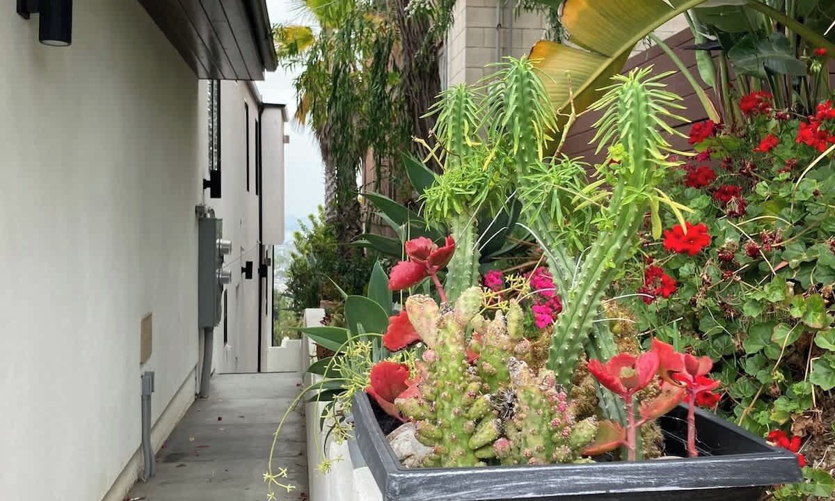 Photo of Others in La Jolla Mesa