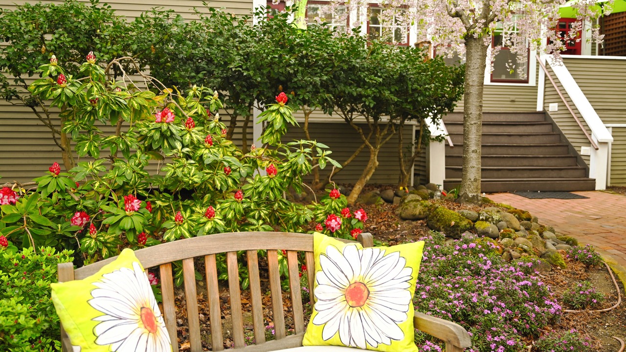 Photo of Outdoor in Ashland