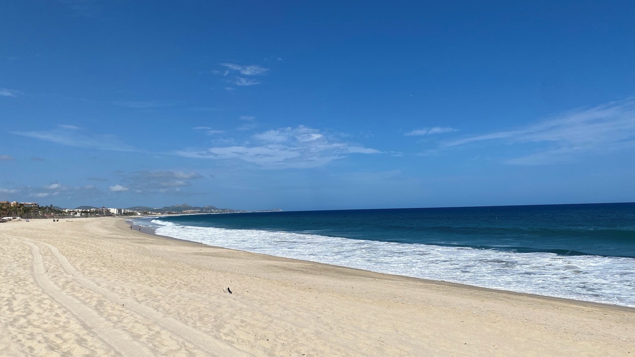 Photo of Others in San Jose del Cabo