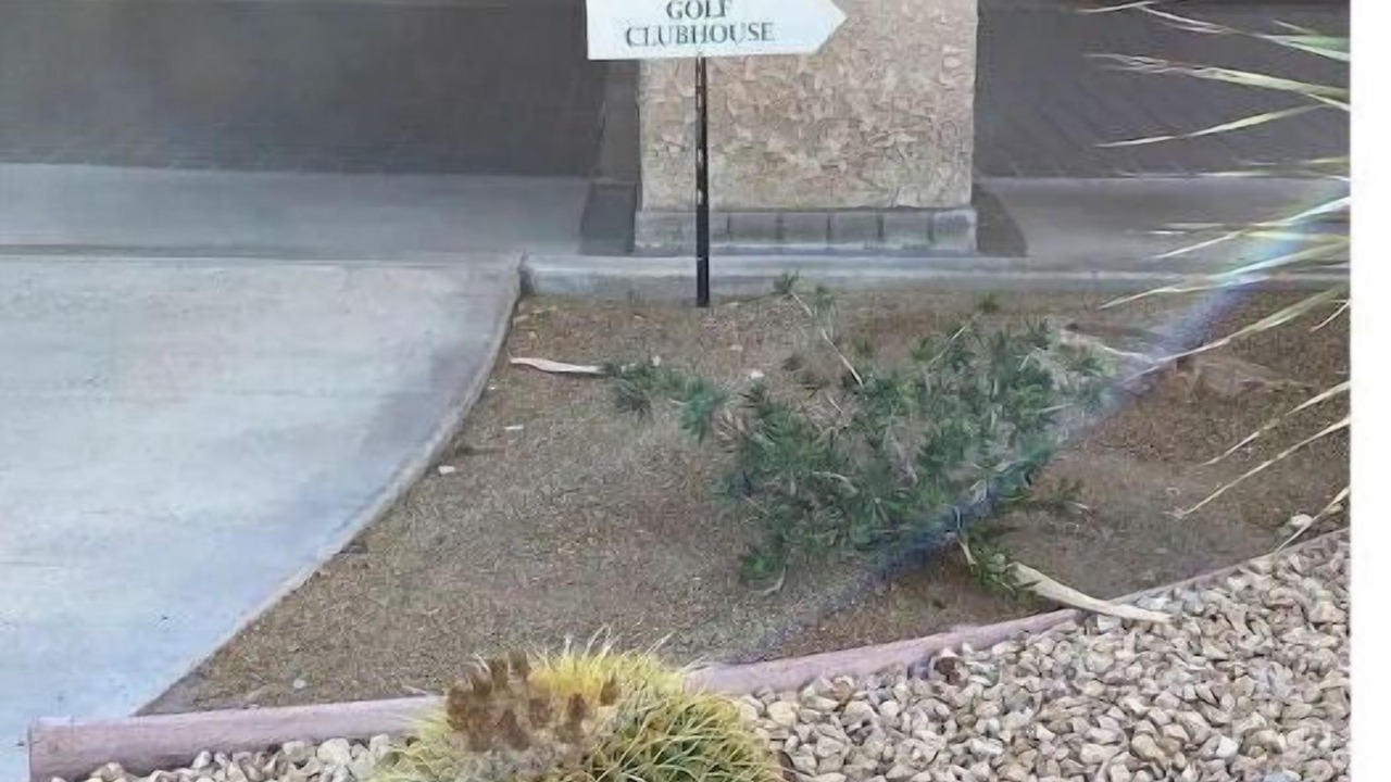 Photo of Outdoor in Palm Desert