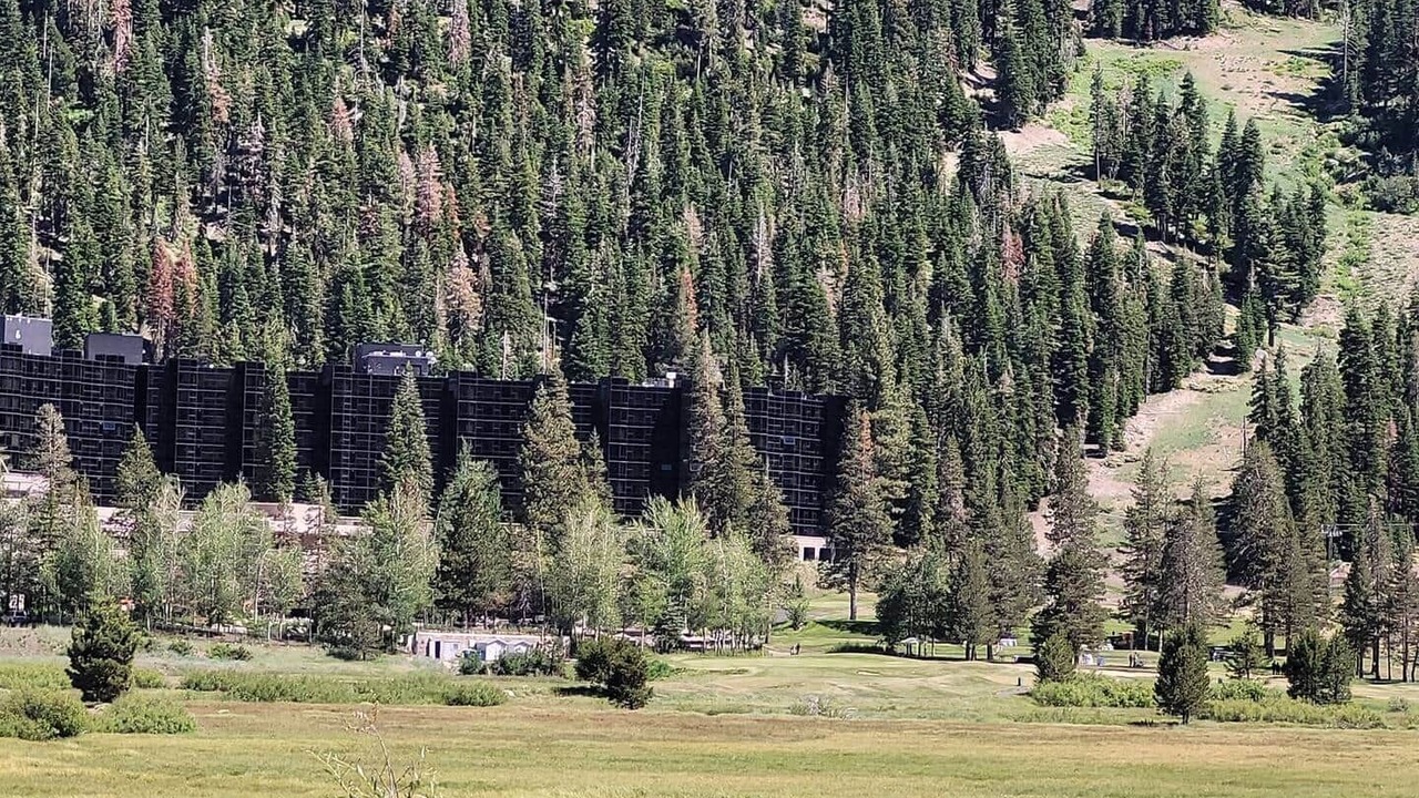 Photo of Others in Olympic Valley