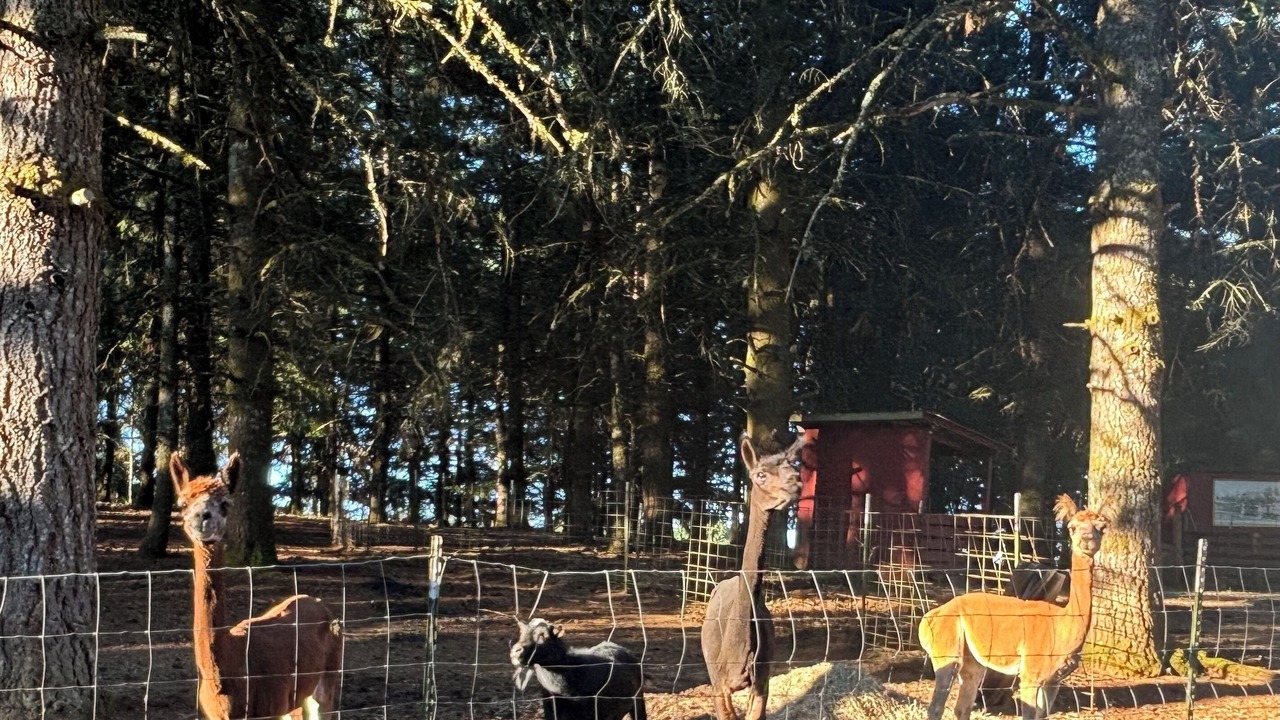 Photo of Others in Silverton