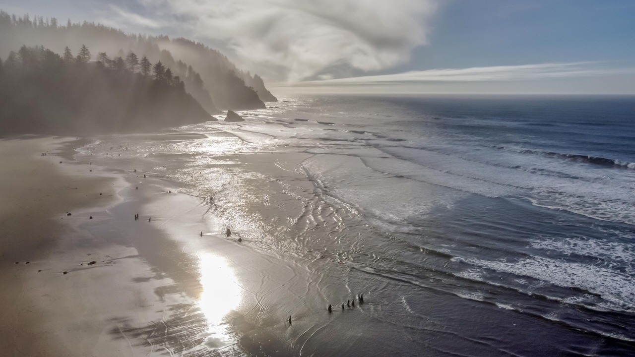 Photo of Others in Neskowin