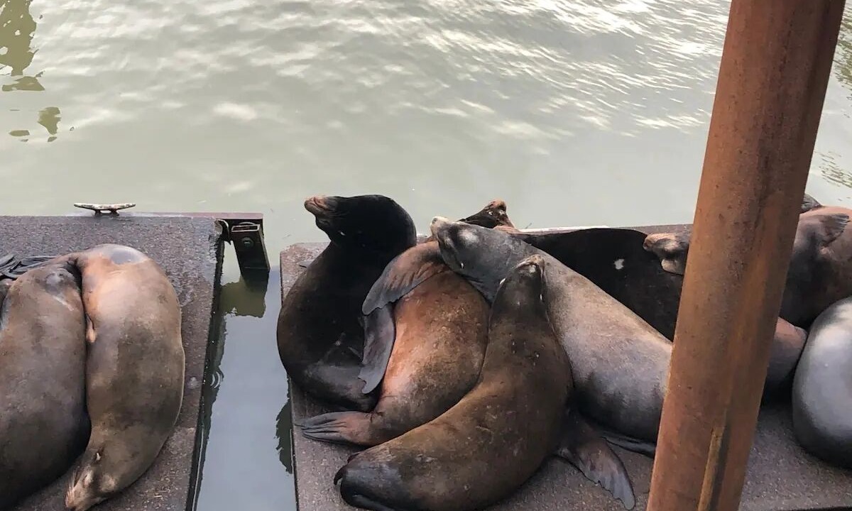 Photo of Others in Newport
