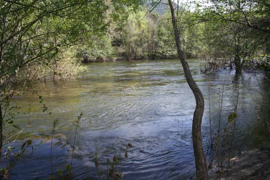 Photo of Others in Three Rivers