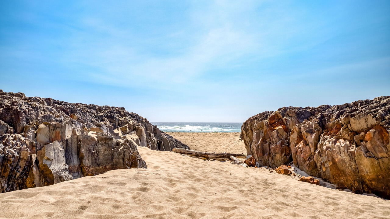 Photo of Others in Lincoln City
