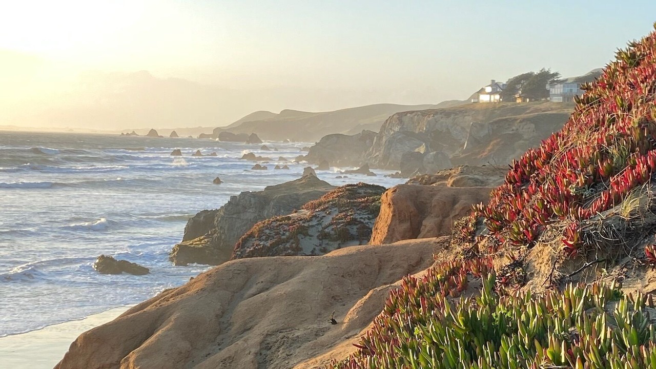 Photo of Others in Dillon Beach