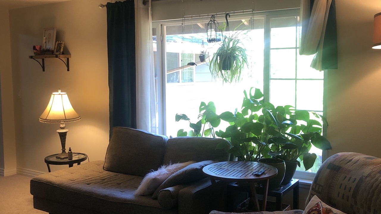 Photo of Livingroom in Morningside