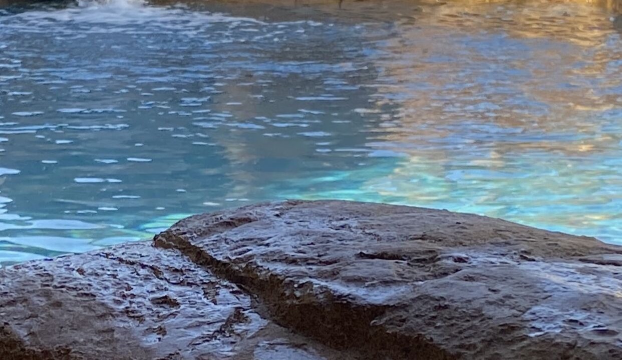 Photo of Outdoor in Southwest Anaheim