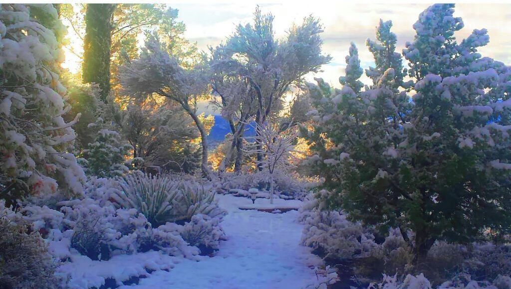 Photo of Outdoor in Rimrock
