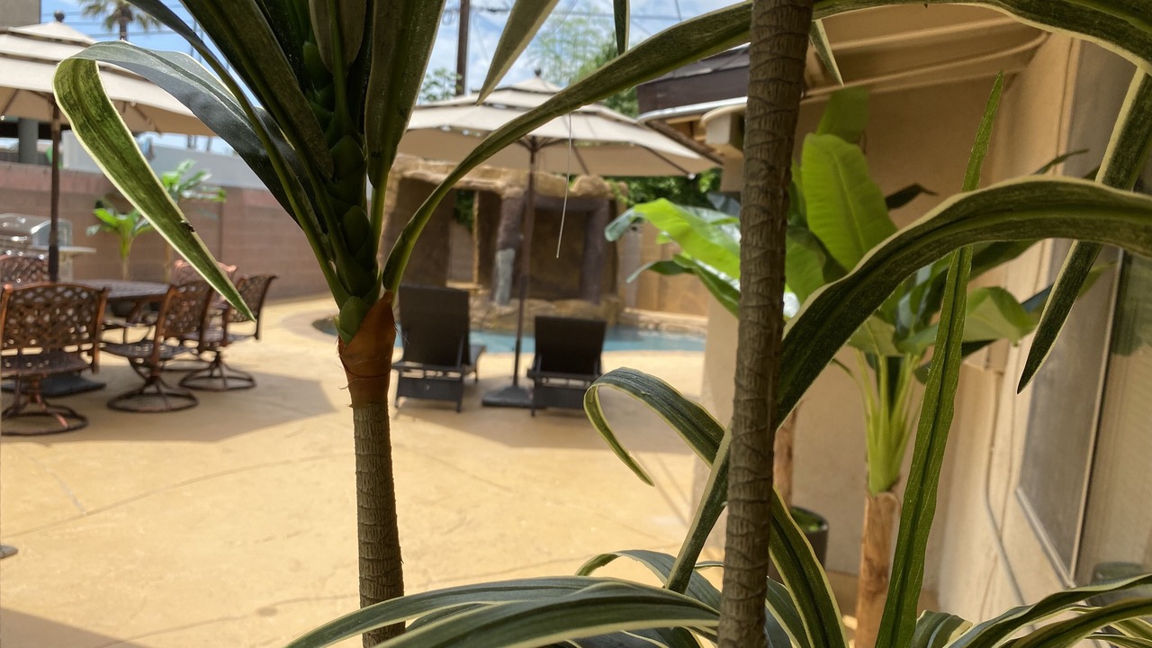 Photo of Patio Balcony in Southwest Anaheim
