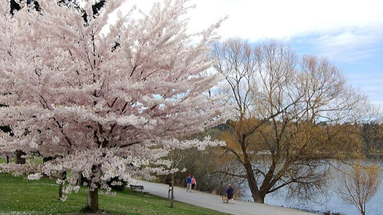 Photo of Outdoor in Greenwood