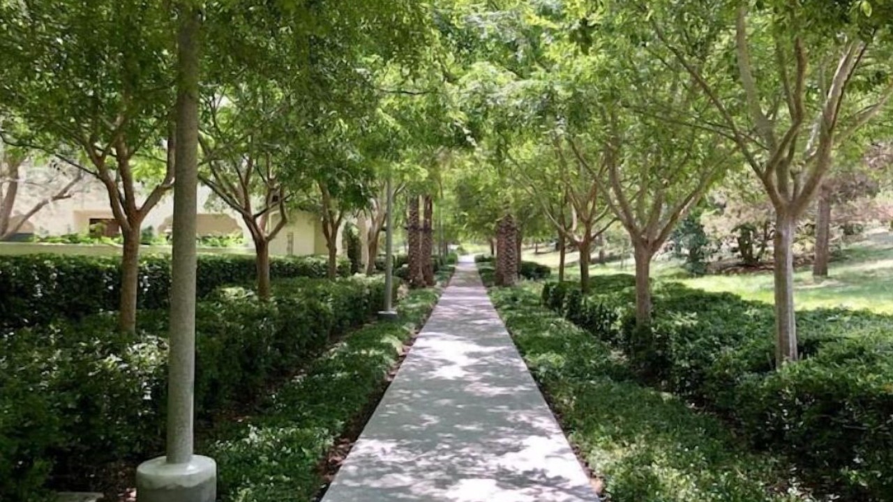 Photo of Outdoor in Quail Hill