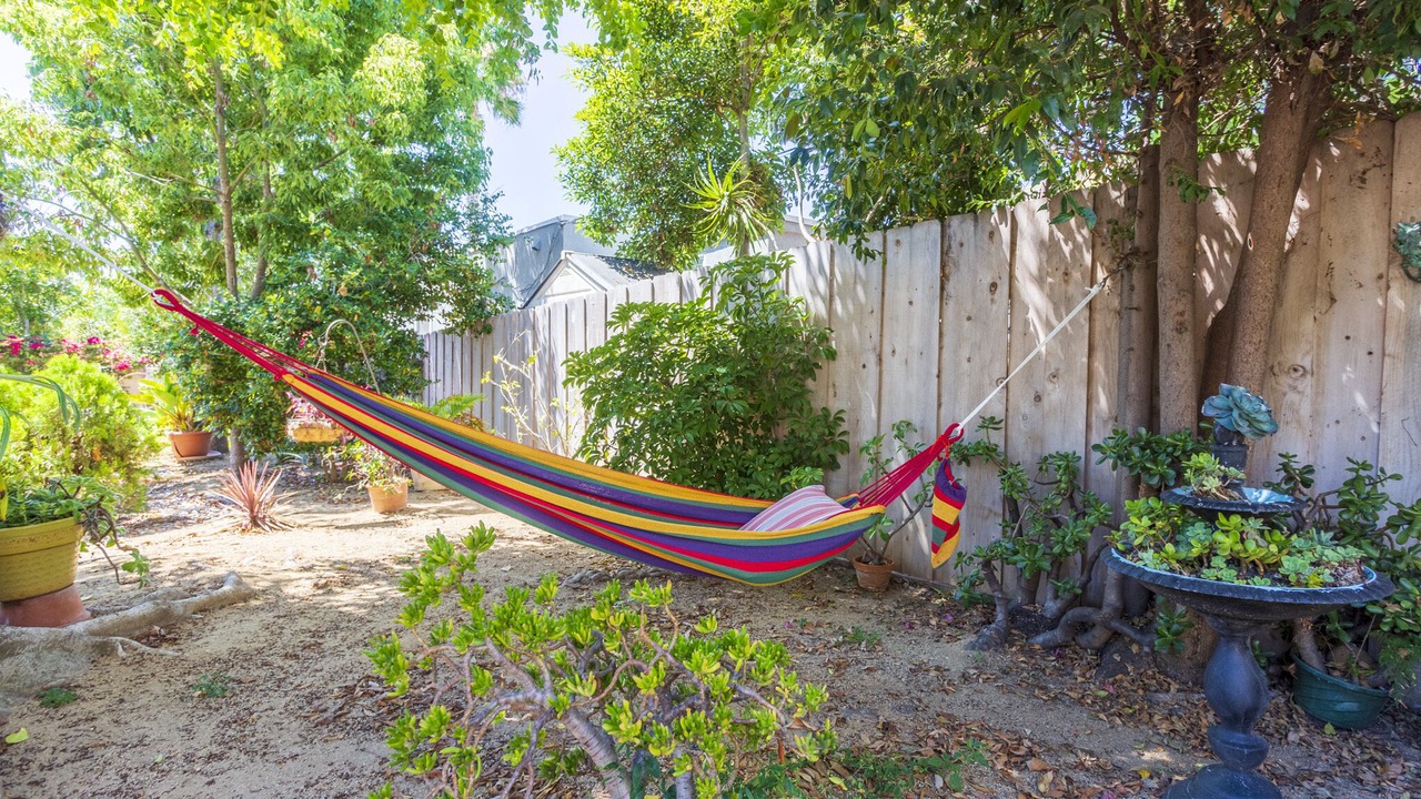 Photo of Outdoor in University Heights