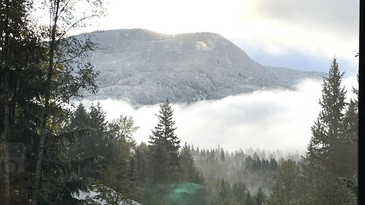Photo of Outdoor in Packwood