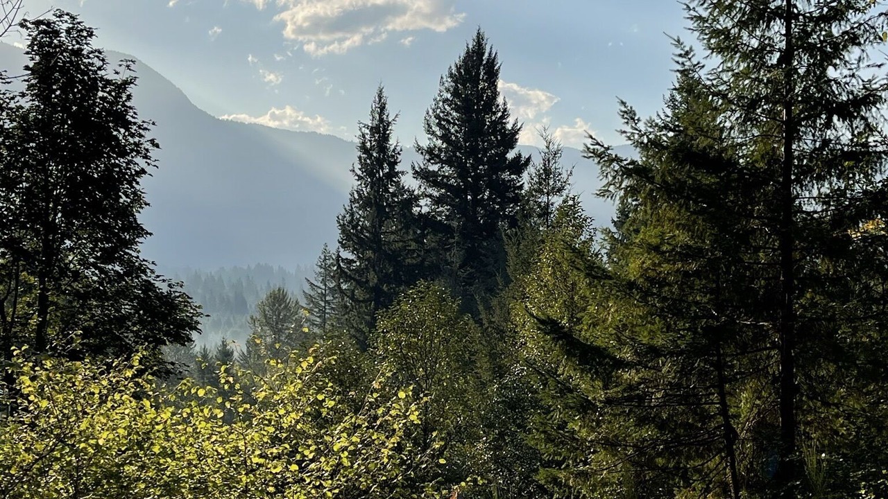 Photo of Outdoor in Packwood