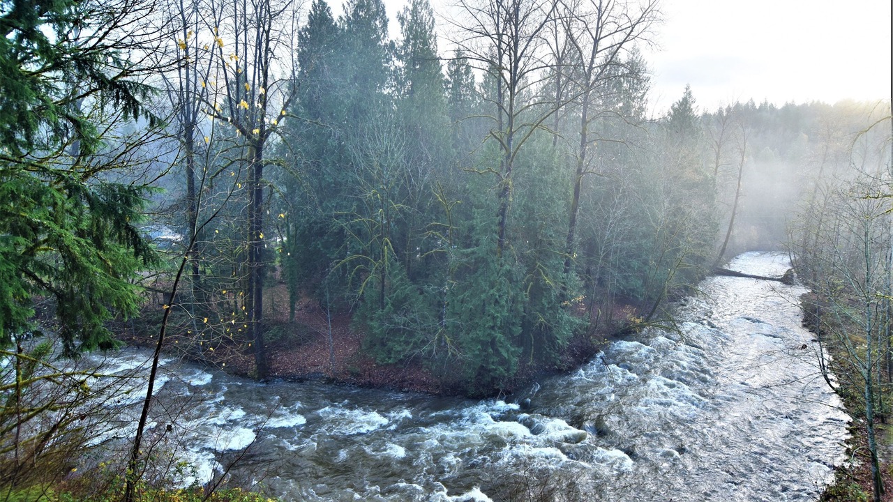 Photo of Others in Fall City