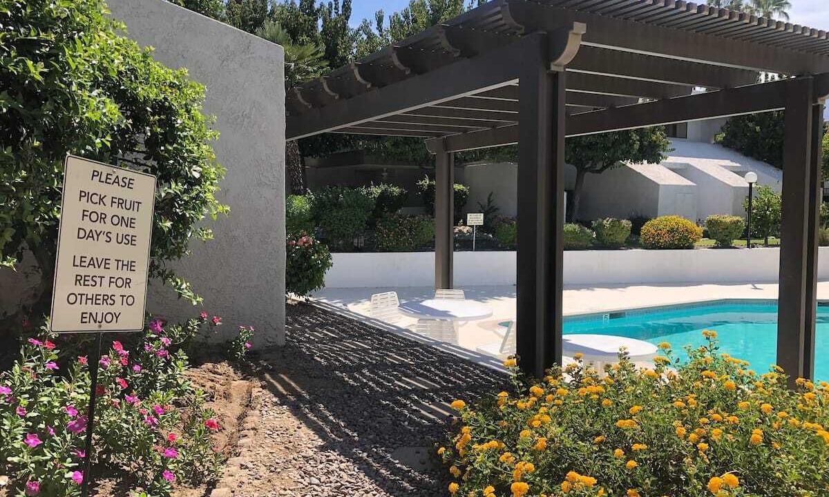 Photo of Outdoor in Palm Springs