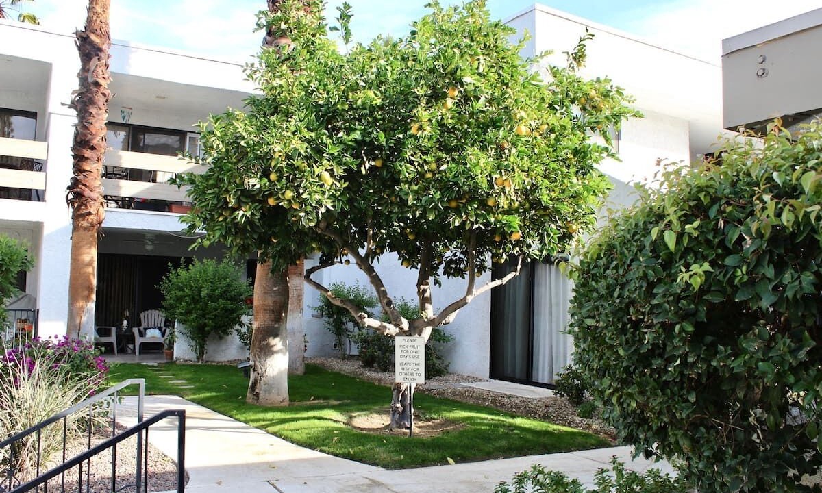 Photo of Outdoor in Palm Springs