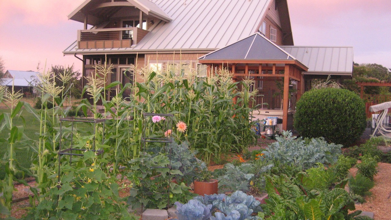 Photo of Outdoor in Alvadore