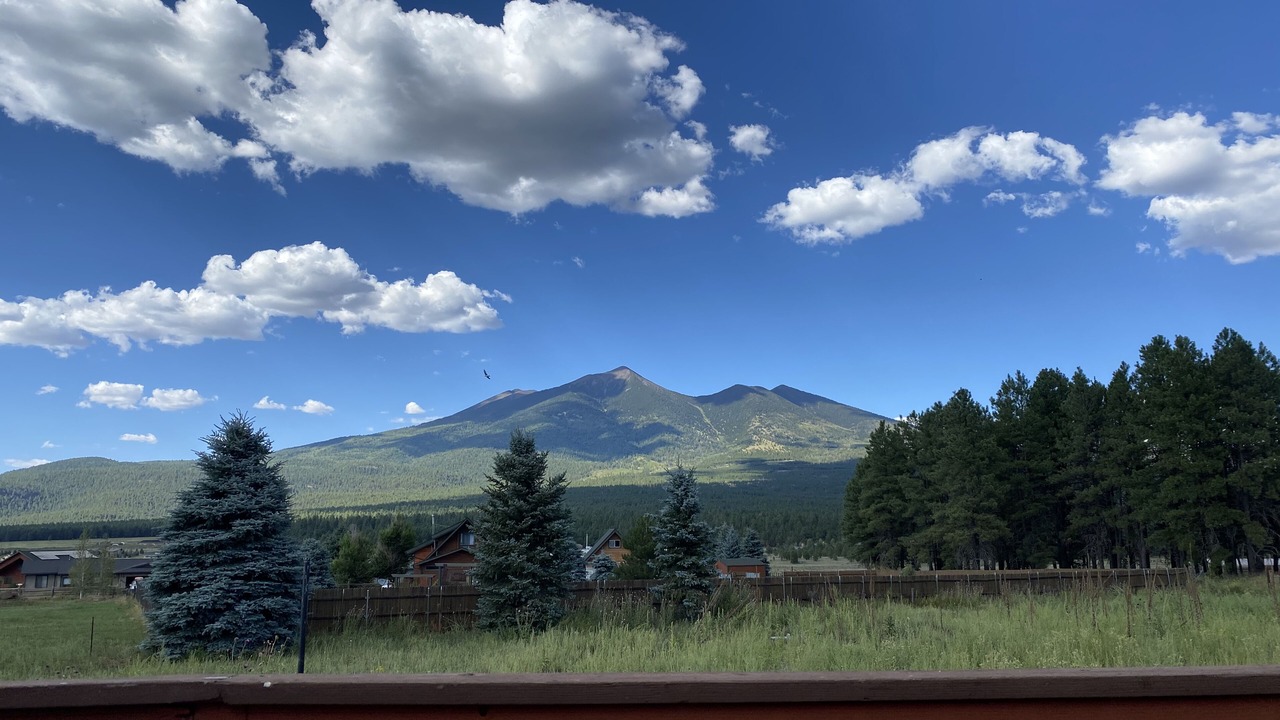 Photo of Outdoor in Fort Valley