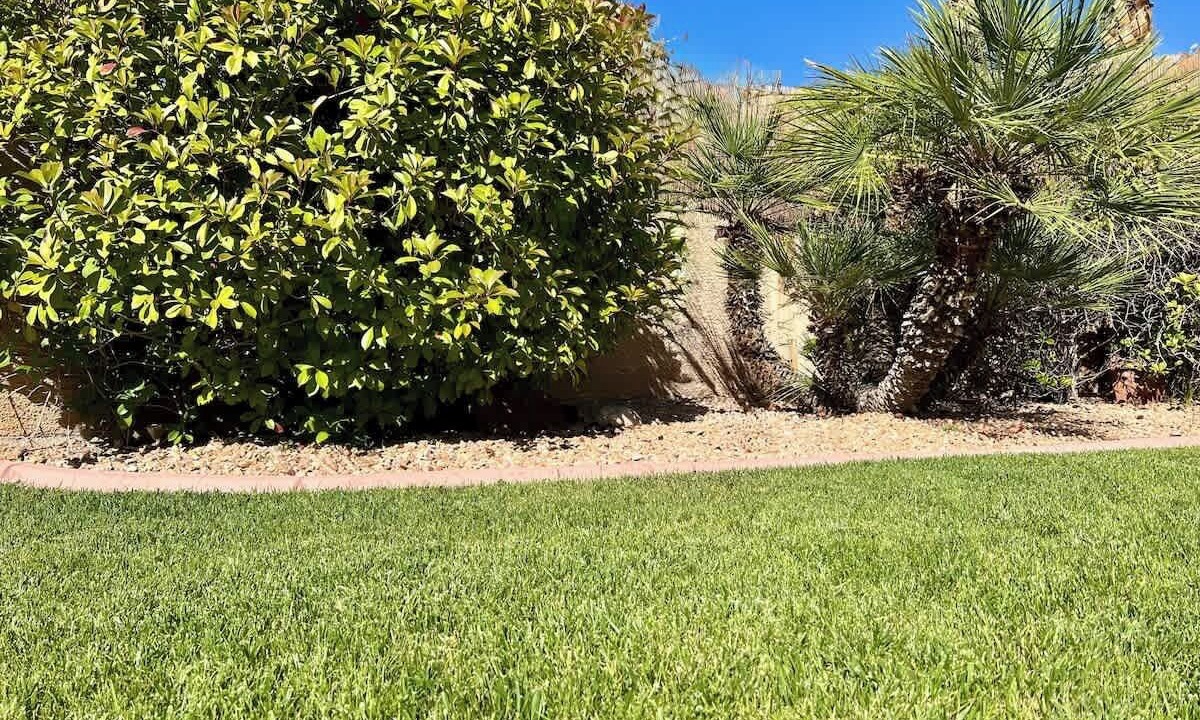 Photo of Outdoor in Spring Valley
